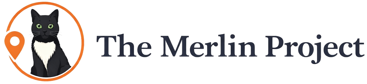 The Merlin Project